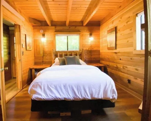 Buffalo Cabin -charming Alpine retreat w/ king bed Hotels in Alpine