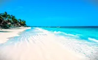 Boho Boutique Hotel - Beachfront , Adults Only , Private Pool - bar