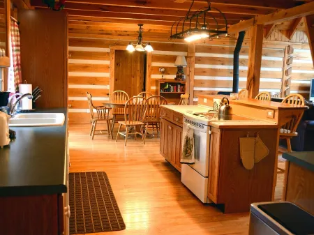 Beautiful 12 acre retreat with game room - great for families!