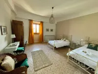OLIVE TREES - FARMHOUSE ESTATE SAN DONATO