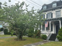 2Br Private Victorian Apartment in City Location on Half Acre Sleeps 5