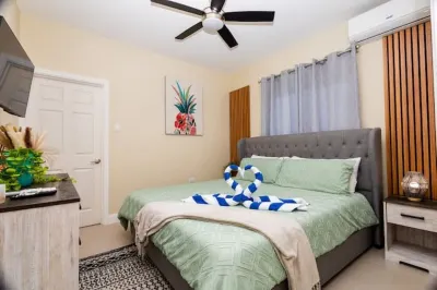 Luxury home in Jamaica Hotels in 