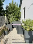 Studio Champenois