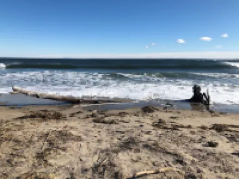 Downtown Home. Walk to Waterfront, Restaurants, Shops & Train. Beaches Nearby.