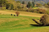 Bosso di Sopra - Mugello Tuscany Hotels in Borgo San Lorenzo