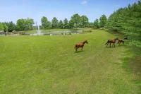 Lakefront Cottage 10 min to Legoland Farmstay