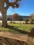Provençal farm among olive trees; view of the hill from a large shaded terrace