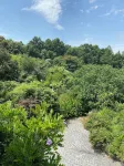 QUINTA DE RIBAS - LE VERGER - SMALL CHARMING GITE