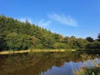 The Hoot - a gorgeous & secluded cabin on private wildlife reserve Hotels in Tiverton