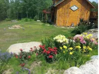 Adirondack Whiteface Mtn Retreat Asgaard Farm & Dairy附近的飯店