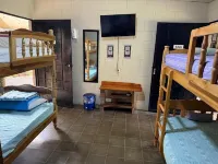 Nanda Parbat Hostal - bar