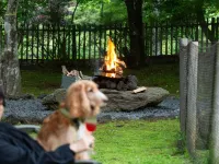 Rita’S Ranch Hotels in Shimonita