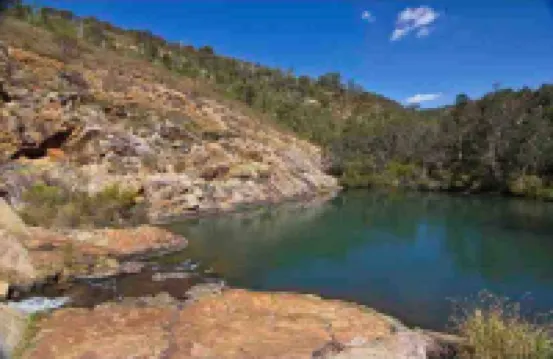 Quite and nature paradise