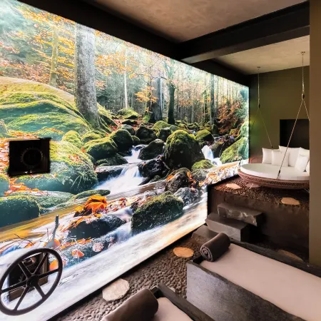 Hôtel-Spa le Moulin de La Wantzenau - Strasbourg Nord