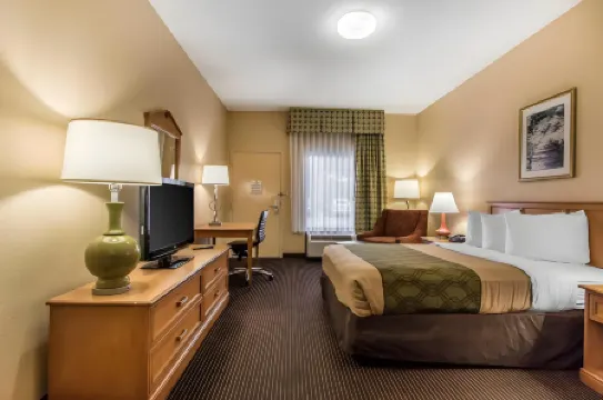 Econo Lodge Inn & Suites Foley-North Gulf Shores