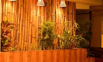 Rest Nest - Havelock