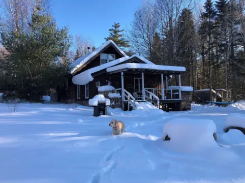 Chalet-7 Min to Ski Stratton-Woodstove-Firepit-Brook on Property-Views-Dogs OK