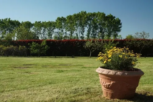 Cascina del Gelso - b&b - Desayuno