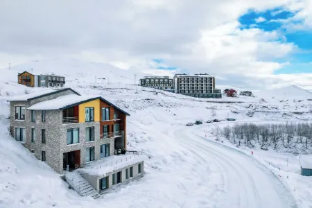 Dandelion Hotel Gudauri