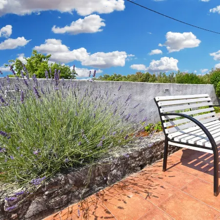 Charming Home With Pool in Barbariga