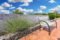 Charming Home With Pool in Barbariga