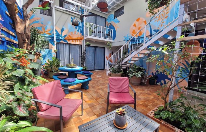 Jungla Urbana, Bnb