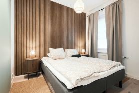 Modernized 1920s Apartment