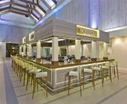 DoubleTree by Hilton Orlando Theme Park Resort - bar