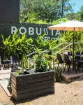 Hotel Robussta