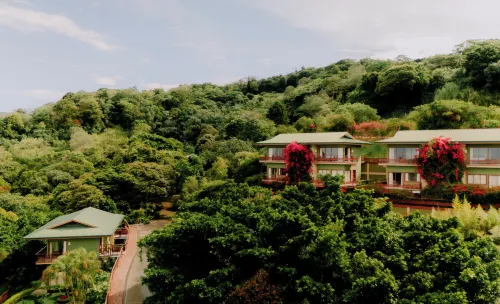 Ficus Sunset Suites - Barer