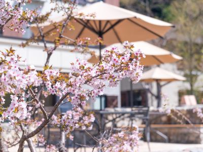 Kamikochi Lemeiesta Hotel