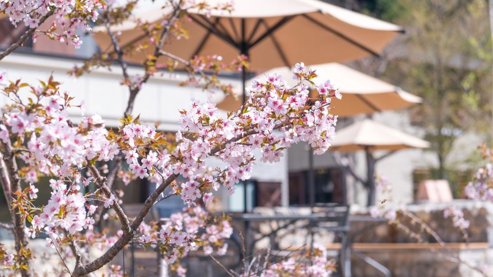 Kamikochi Lemeiesta Hotel