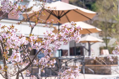 Kamikochi Lemeiesta Hotel - 4-Star