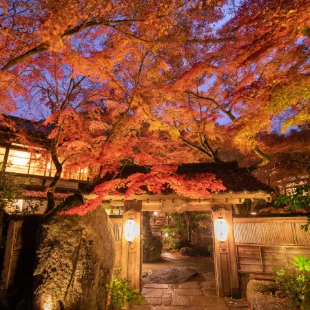Akizuki Spa Ryokan Seiryuan