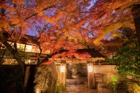 Akizuki Spa Ryokan Seiryuan - Parking
