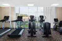 Courtyard La Paz Baja California Sur - palestra