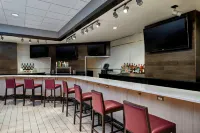 Sheraton Milwaukee Brookfield Hotel - bar