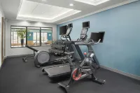 Hampton Inn Chicopee/Springfield - Kuntosalit