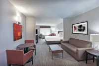 Holiday Inn Express & Suites SHREVEPORT SOUTH - PARK PLAZA by IHG - parking