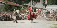 Alpenmotel Säuling - Homestays
