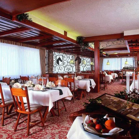 Sauerland Alpin Hotel