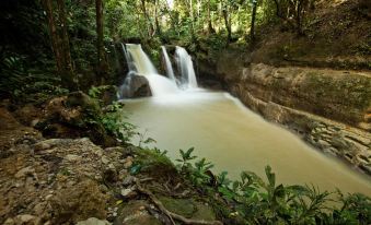 A's Azotea de Bohol