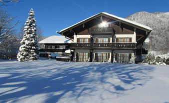 Hotel Bachmair Alpina