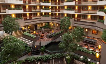Embassy Suites by Hilton Austin Arboretum