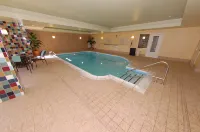 Hilton Garden Inn Bowling Green - Pools