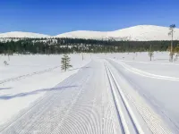 Villa Taiga Hotels in Fell Lapland