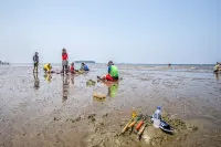 Seocheon Paintree Glamping Hotels in Seocheon-gun