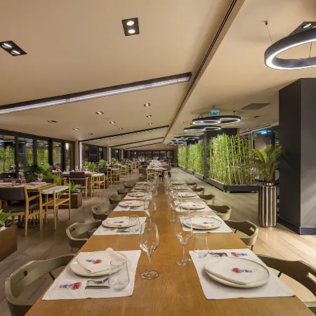 Holiday Inn KAYSERI - DUVENONU by IHG