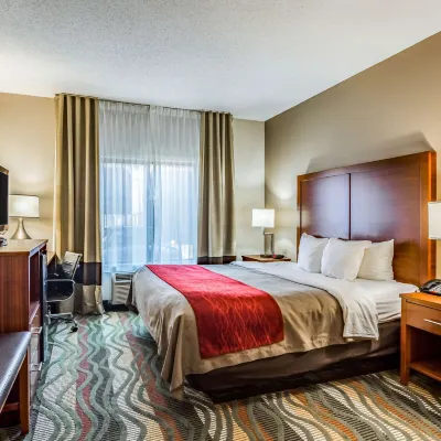 Comfort Inn & Suites Chattanooga West - Lookout Mountain Hotels near Ruby Falls