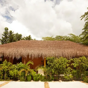 Piedra de Agua Palenque